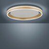 Paul-Neuhaus Q-VITO Plafoniera LED Ottone, 1-Luce, Telecomando