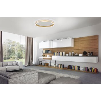 Paul-Neuhaus Q-VITO Plafoniera LED Ottone, 1-Luce, Telecomando