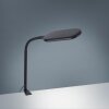 Leuchten-Direkt KELLY Lampada con pinza LED Nero, 1-Luce