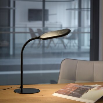 Leuchten-Direkt KELLY Lampada da tavolo LED Nero, 1-Luce