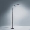 Leuchten-Direkt KELLY Lampada da terra LED Nero, 1-Luce