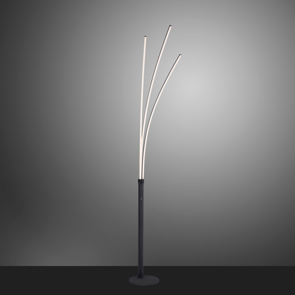 Leuchten-Direkt MAJA Lampada da terra LED Nero, 1-Luce main product photo