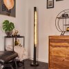 Rodeche Lampada da terra LED Ottone, Nero, 1-Luce