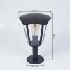Venneshamm Lampada con piedistallo Nero, Trasparente, chiaro, 1-Luce