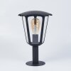 Venneshamm Lampada con piedistallo Nero, Trasparente, chiaro, 1-Luce