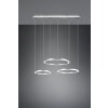 Trio-Leuchten Morrison Lampada a Sospensione LED Nichel opaco, 1-Luce