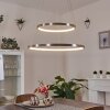 Preci Lampadario a sospensione LED Nichel opaco, 1-Luce