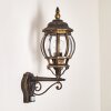 Lentua Applique da esterno Marrone, Oro, 1-Luce, Sensori di movimento