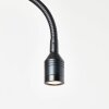 Brilliant-Leuchten Rayan Applique LED Legno chiaro, Nero, 1-Luce