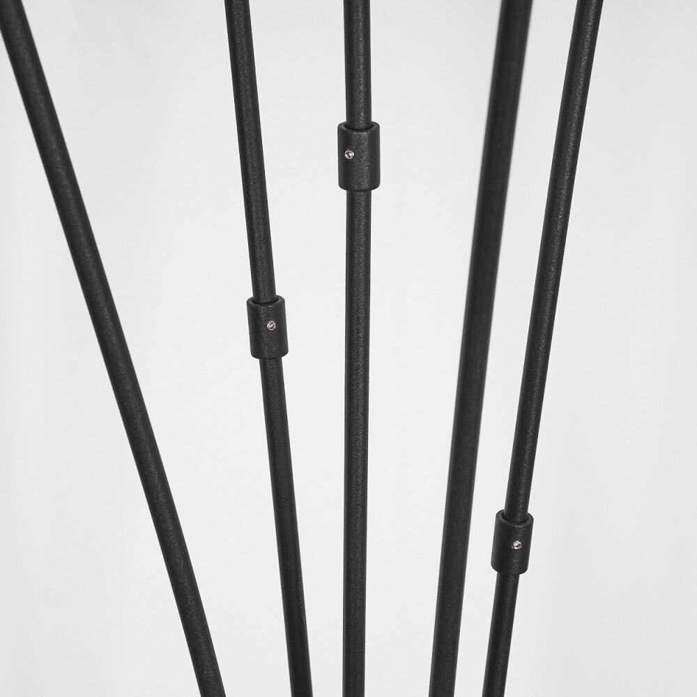 Alsen Lampada da terra Nero, 5-Luci
