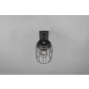 Trio-Leuchten Tuela Applique Antracite, 1-Luce