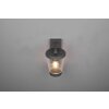 Trio-Leuchten Cavado Applique Antracite, 1-Luce