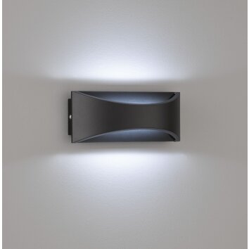 Fischer-Honsel Rio Applique da esterno LED Nero, 1-Luce
