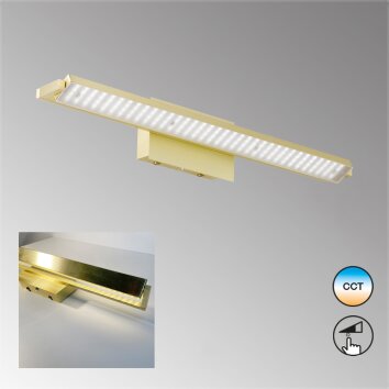 Fischer-Honsel Pare TW Applique LED Ottone, 1-Luce