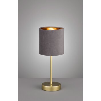 Fischer-Honsel Aura Lampada da tavolo Oro, 1-Luce