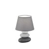 Fischer-Honsel Pibe Lampada da tavolo Grigio, 1-Luce