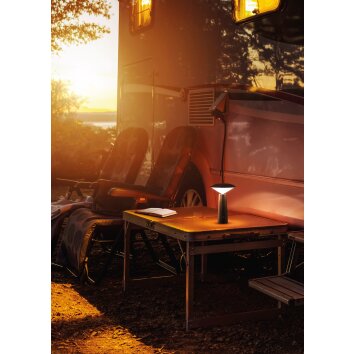 FHL-easy Pinto Lampada da tavolo LED Nero, 1-Luce