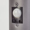 Gaborone Lampioncino Segnapasso Antracite, 1-Luce, Sensori di movimento Gaborone Lampioncino Segnapasso Antracite, 1-Luce, Sensori di movimento