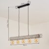 Canedo Lampada a Sospensione Grigio, Nero, 5-Luci