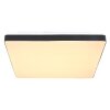 Globo RAINA Plafoniera LED Nero, Bianco, 1-Luce