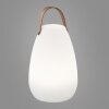 FHL-easy Ruby Lampada da tavolo LED Bianco, 1-Luce, Telecomando, Cambia colore