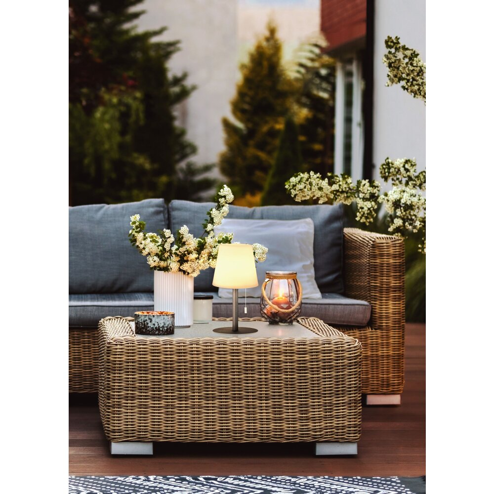 FHL-easy Garden Lampada da tavolo LED Antracite, 1-Luce, Cambia colore main product photo
