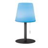 FHL-easy Garden Lampada da tavolo LED Antracite, 1-Luce, Cambia colore
