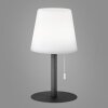 FHL-easy Garden Lampada da tavolo LED Antracite, 1-Luce, Cambia colore