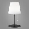 FHL-easy Garden Lampada da tavolo LED Antracite, 1-Luce, Cambia colore