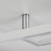 Doyon Plafoniera LED Bianco, 1-Luce