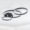 Sorte Plafoniera LED Cromo, Nero, 1-Luce