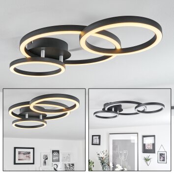 Sorte Plafoniera LED Cromo, Nero, 1-Luce