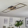 Hyacinthe Plafoniera LED Cromo, Nero, 1-Luce