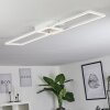 Hyacinthe Plafoniera LED Cromo, Bianco, 1-Luce