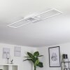 Hyacinthe Plafoniera LED Cromo, Bianco, 1-Luce