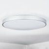 Buris Plafoniera LED Bianco, 1-Luce