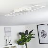 Vaseux Plafoniera LED Bianco, 1-Luce