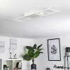 Vaseux Plafoniera LED Bianco, 1-Luce
