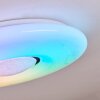Page Plafoniera LED Bianco, 2-Luci, Telecomando, Cambia colore