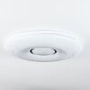 Page Plafoniera LED Bianco, 2-Luci, Telecomando, Cambia colore