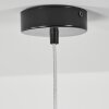 Andeer Lampadario a sospensione Nero, 1-Luce