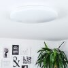Weesen Plafoniera LED Bianco, 1-Luce, Sensori di movimento