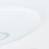 Bellach Plafoniera LED Bianco, 1-Luce