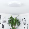 Bergell Plafoniera LED Bianco, 1-Luce