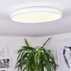 Bergell Plafoniera LED Bianco, 1-Luce