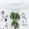 Bergell Plafoniera LED Bianco, 1-Luce