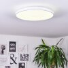 Bergell Plafoniera LED Bianco, 1-Luce