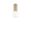 Ideallux PETIT Plafoniera Ottone, 1-Luce