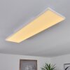 Buenaventura Plafoniera LED Bianco, 1-Luce, Telecomando, Cambia colore