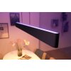 Philips Hue White & Color Ambiance Ensis Lampada a Sospensione LED Nero, 2-Luci, Cambia colore